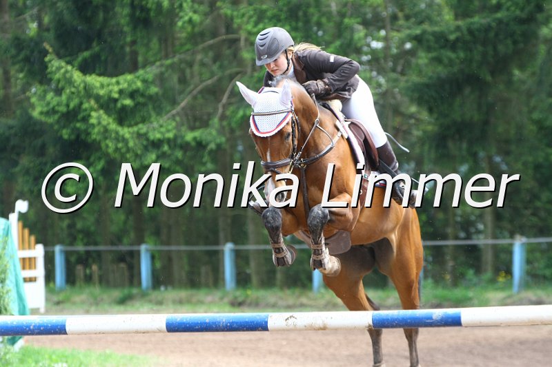 104M3570_Lilly Magic_Springpf L.JPG